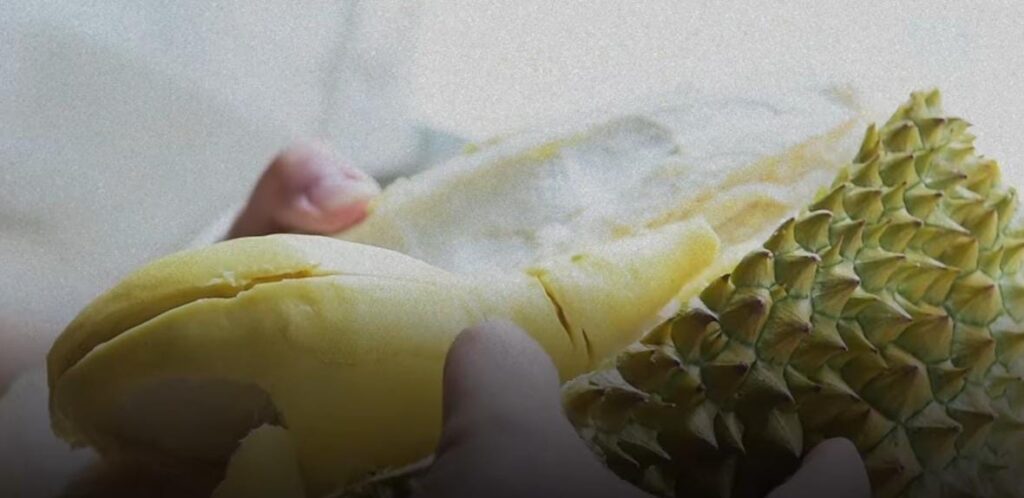 7 Efek Samping Konsumsi Buah Durian secara Berlebihan untuk Kesehatan