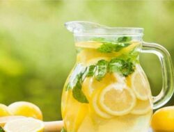 Waktu Terbaik untuk Menikmati Manfaat Air Lemon, Panduan Konsumsi yang Optimal