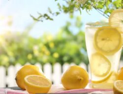 Manfaat Luar Biasa Buah Lemon untuk Kesehatan dan Kecantikan